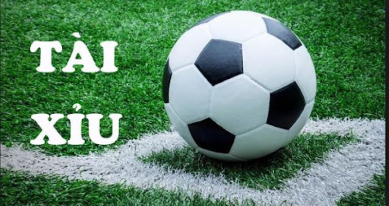 Tùy thuộc vào tính chất trận đấu có nhiều tỷ lệ kèo tài xỉu khác nhau