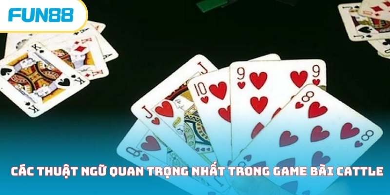 Các thuật ngữ quan trọng nhất trong game bài Cattle 