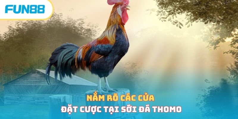 Nắm rõ các cửa đặt cược tại sới đá thomo